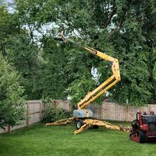 Mulching Services in St Cloud, FL